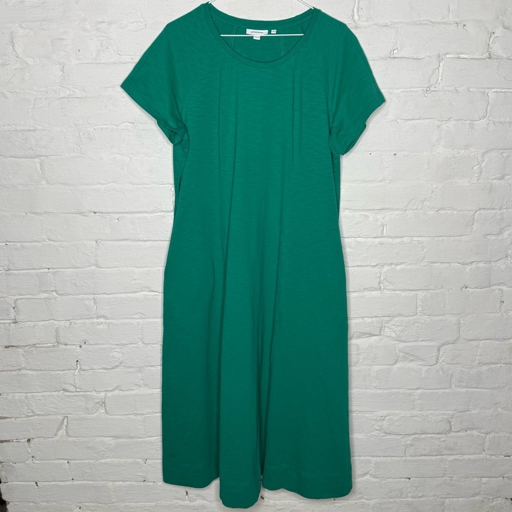 Chico’s Dress L